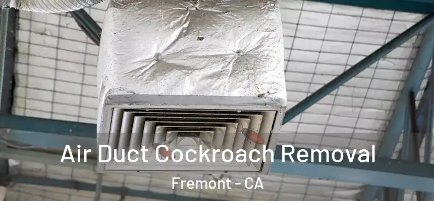 Air Duct Cockroach Removal Fremont - CA
