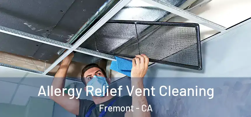 Allergy Relief Vent Cleaning Fremont - CA