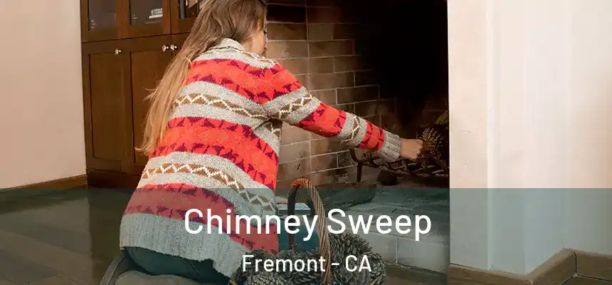  Chimney Sweep Fremont - CA