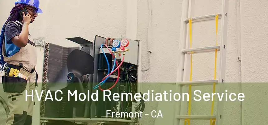 HVAC Mold Remediation Service Fremont - CA