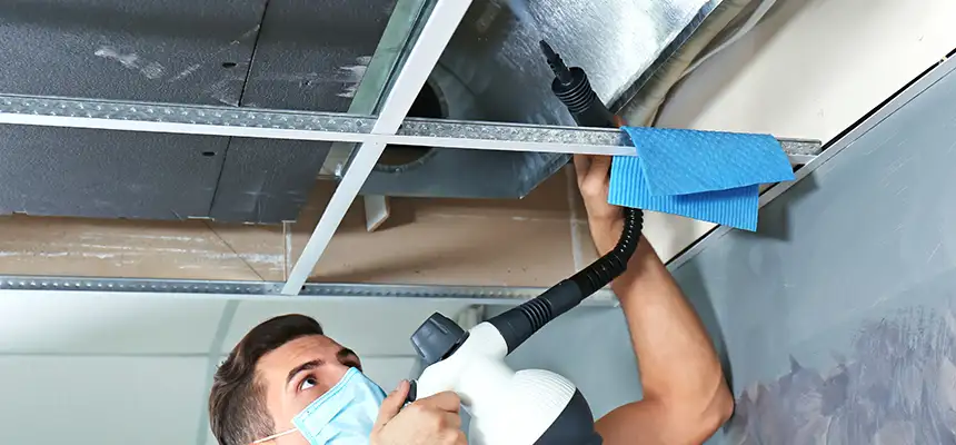 Our Air Duct Rodent Removal Services in Fremont, CA