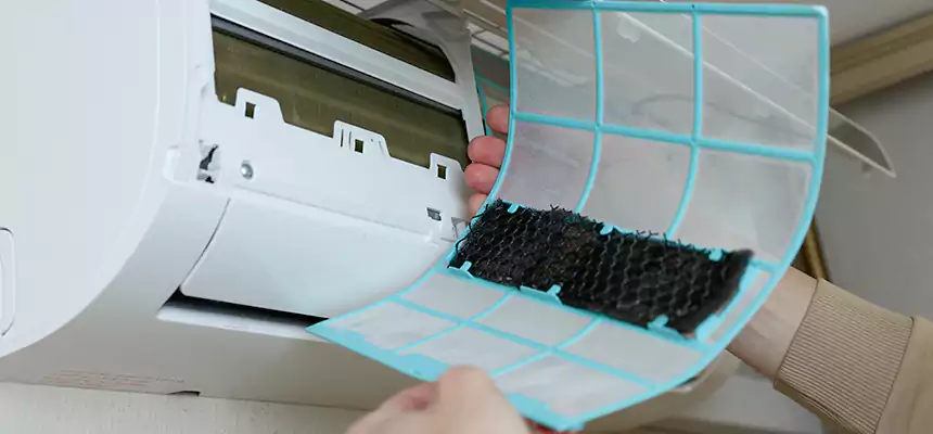 Gentle Ductwork Odor-Control Pet Dander Duct Cleaning in Fremont, CA