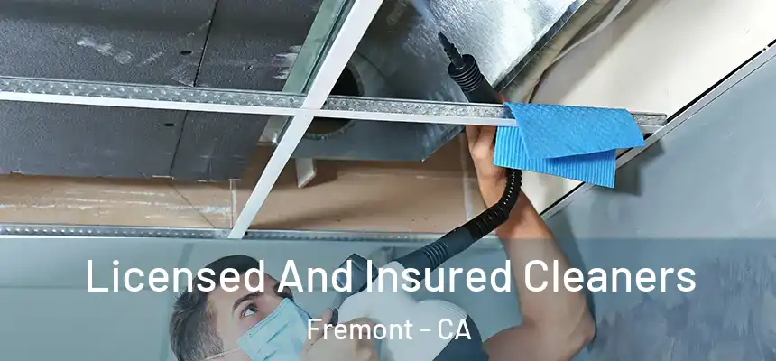  Licensed And Insured Cleaners Fremont - CA