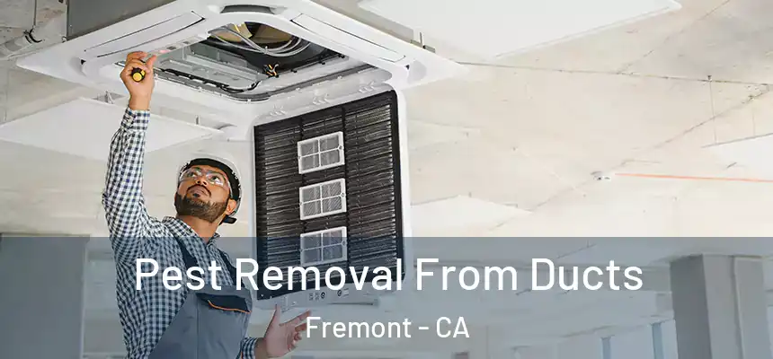  Pest Removal From Ducts Fremont - CA