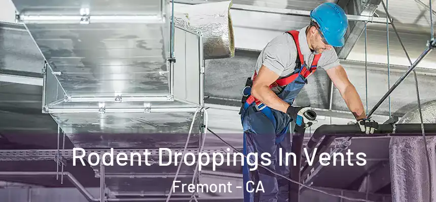Rodent Droppings In Vents Fremont - CA