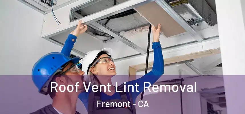  Roof Vent Lint Removal Fremont - CA