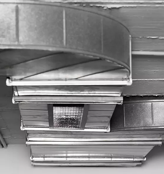 Professional Air Duct Pest Removal in Fremont, CA