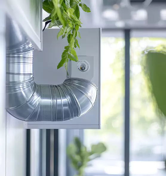 Professional Eco-Friendly Duct Cleaning Services in Fremont, CA