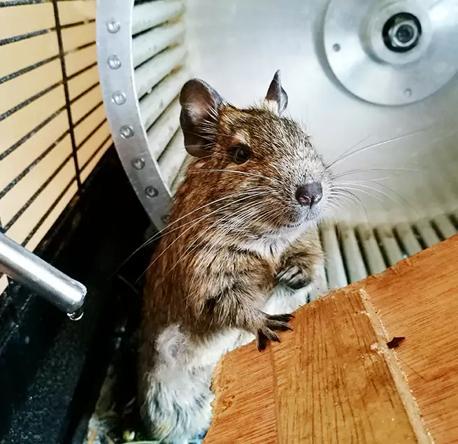 Why Homeowners & Businesses Trust Us Fremont, CA