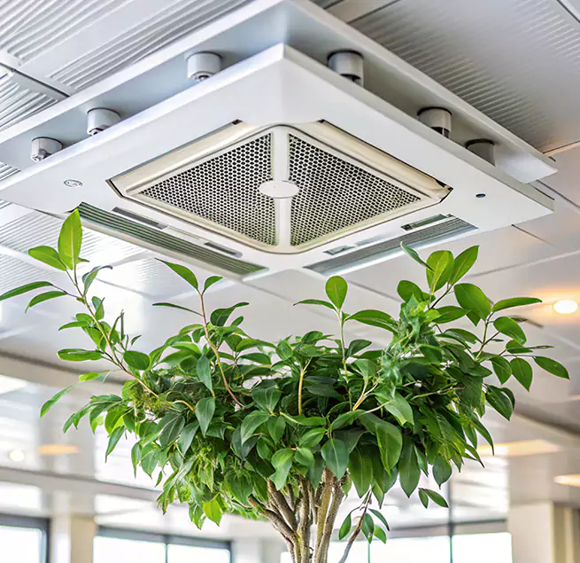 Why Homeowners & Businesses Trust Us in Fremont, CA?