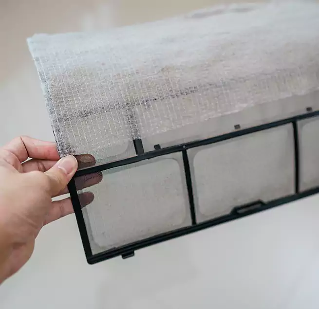 Why Homeowners & Businesses Trust Us in Fremont, CA?