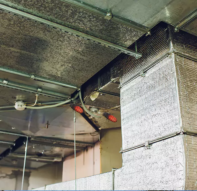 Why Homeowners & Businesses Trust Us Fremont, CA?