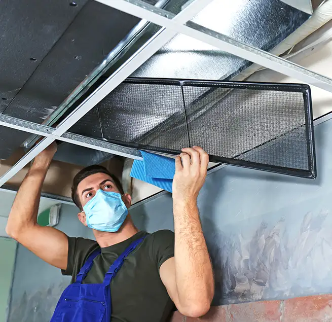 Why Homeowners & Businesses Trust Us in Fremont, CA?