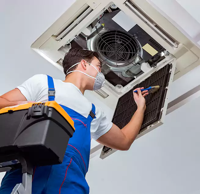 Why Homeowners & Businesses Trust Us in Fremont, CA?