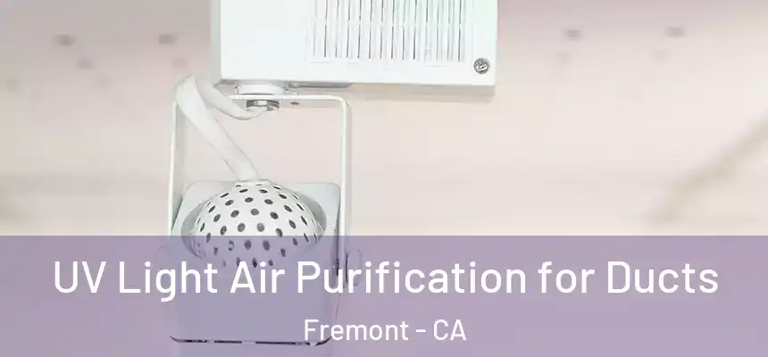  UV Light Air Purification for Ducts Fremont - CA